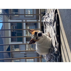 Logo of Test Community Partner