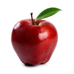 Logo of Financial Education Workshop Facilitator