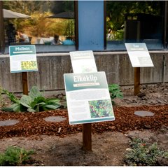 Logo of Indigenous Healing Garden