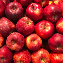 Logo of Apple Fest Volunteer