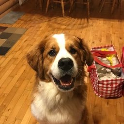 Picture of Kristie Bates