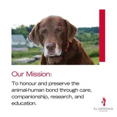 Logo of Dog walkers & fostering