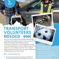 Logo of Transport ONLY Volunteers