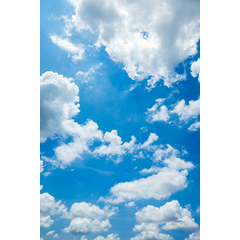 Logo of ABCD Organization