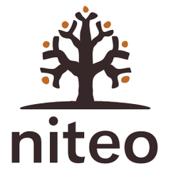 Logo of Niteo Africa Society